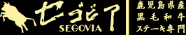 ZSrA(SEGOVIA)|YјaXe[L